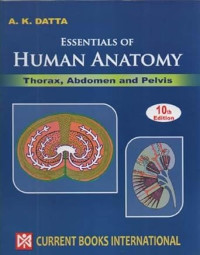 Image of Essential of Human Anatomy , Part-1	: THORAX, ABDOMEN AND PELVIS