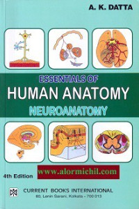 Image of Essentials Human Anatomy -Vol-4 : Neuroanatomy