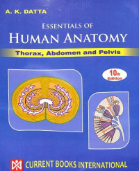 Image of Essentials Of Human Anatomy Vol- 1 : Thorax, Abdomen and Pelvis