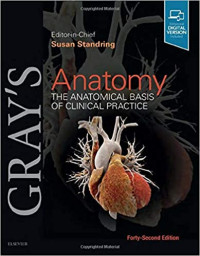 Image of Grays Anatomy