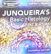 Image of Junqueirs Basic Histology : Texts Atlas