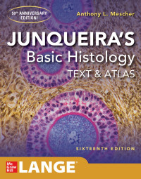 Image of Junqueirs Basic Histology : Texts Atlas